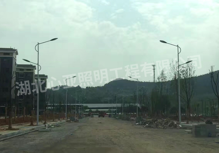 陳埫坪安置小區(qū)雙燈頭路燈安裝完成效果2