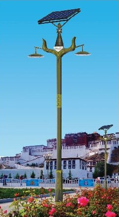3-4米墨綠樹(shù)枝臂雙燈頭太陽(yáng)能庭院燈TYN-03102
