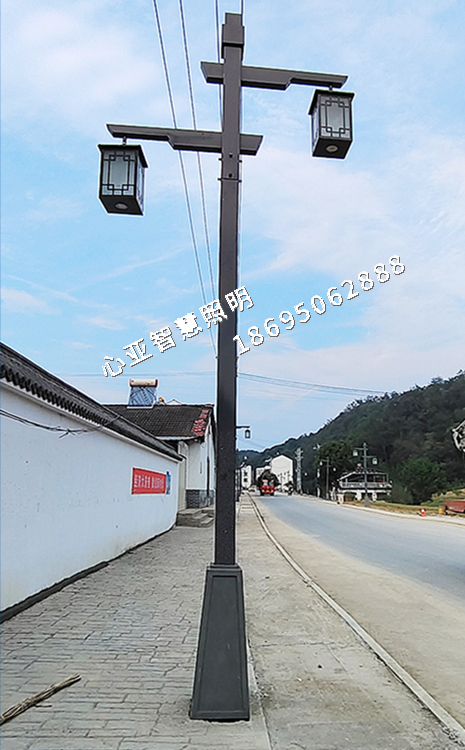 當(dāng)陽(yáng)沙河村路燈照明項(xiàng)目