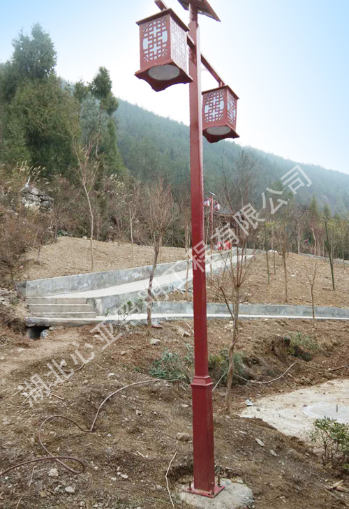 重慶市奉節(jié)新民鎮(zhèn)祖師村路燈照明項目
