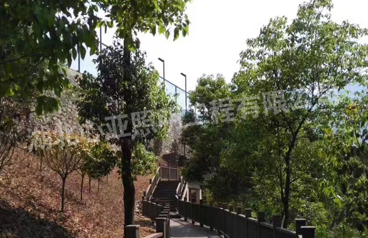 路燈安裝完成遠(yuǎn)觀效果圖