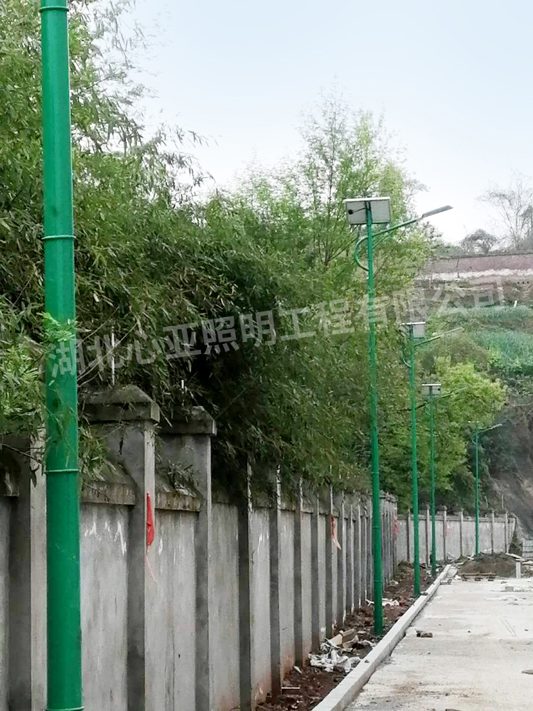 重慶忠縣全倫生態(tài)公司太陽能路燈照明項目