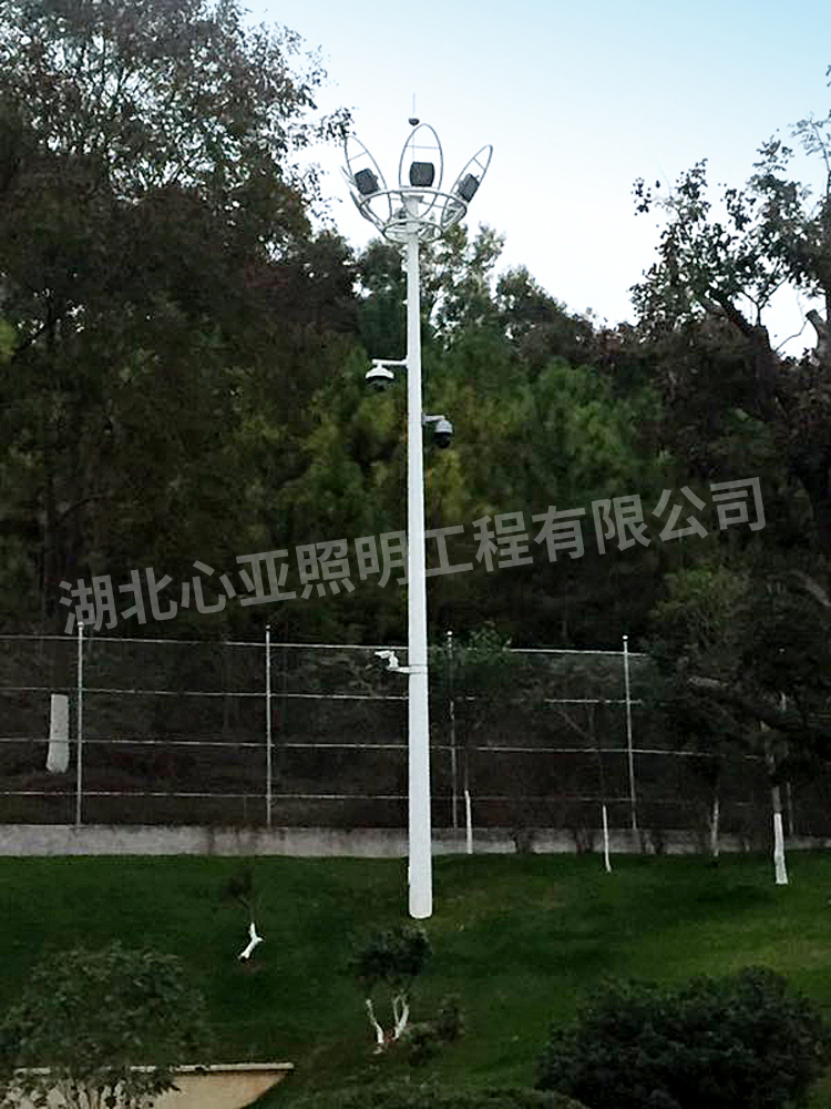 湖北稻花香集團(tuán)蔡府莊園園林中桿燈1