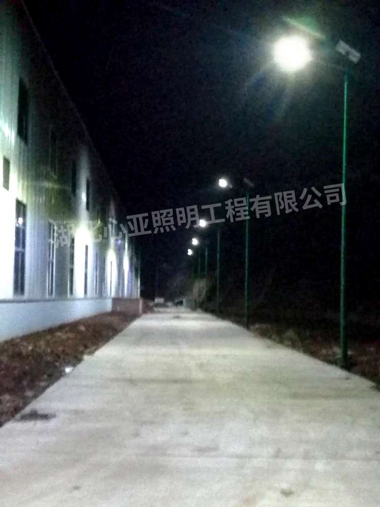 重慶忠縣全倫生態(tài)公司太陽能路燈照明項目