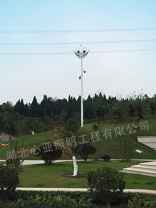 湖北稻花香集團(tuán)蔡府莊園園林中桿燈4