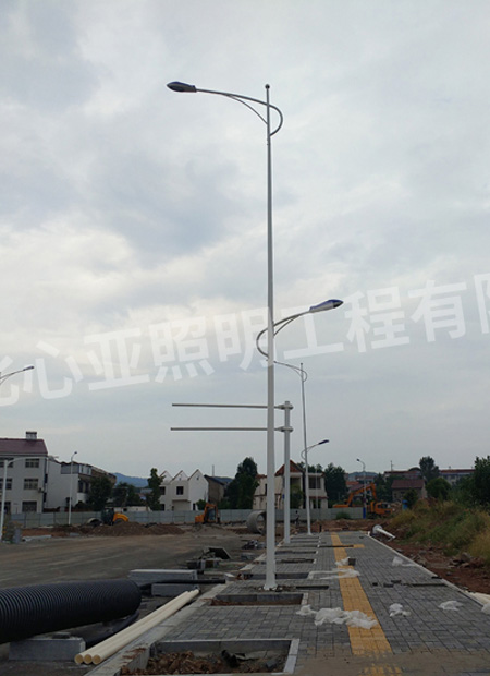 遠(yuǎn)安縣星球森工產(chǎn)業(yè)園工區(qū)市電路燈照明項(xiàng)目