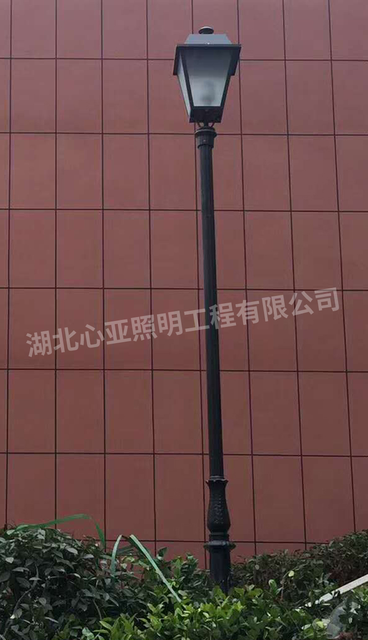 弘洋集團(tuán)墻壁旁邊景觀燈