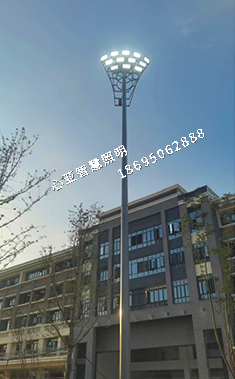 璧山東林智慧學(xué)校高桿燈照明項(xiàng)目