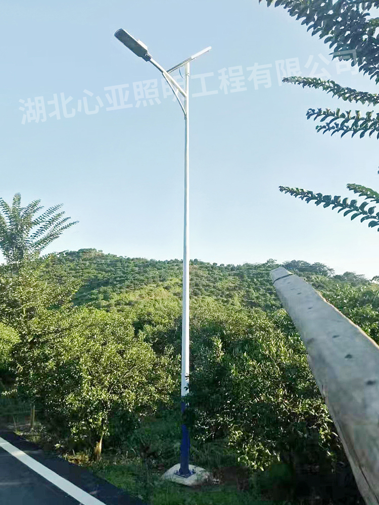 重慶墊江縣杠家鎮(zhèn)太陽(yáng)能路燈照明項(xiàng)目