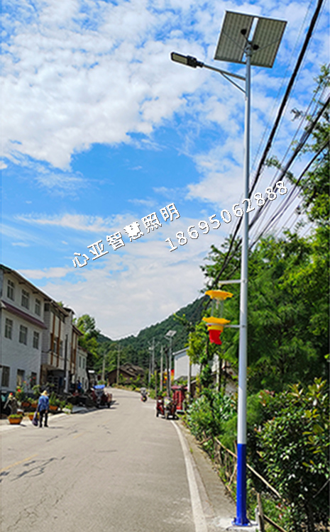 郭家壩荒口坪村太陽(yáng)能路燈照明項(xiàng)目