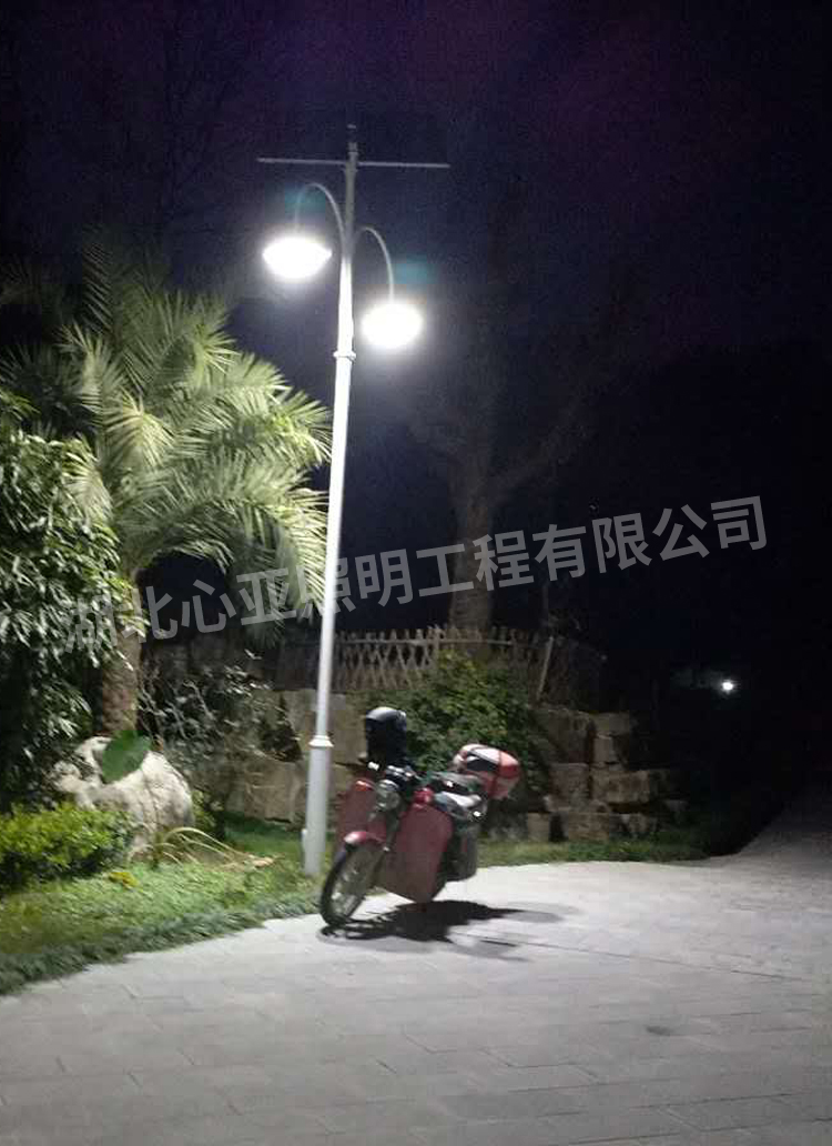 太陽(yáng)能庭院燈安裝完成效果6