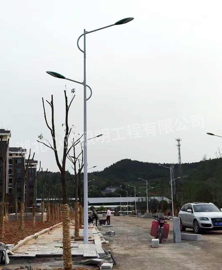 陳埫坪安置小區(qū)雙燈頭路燈安裝完成效果3