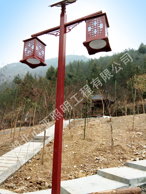 重慶市奉節(jié)新民鎮(zhèn)祖師村路燈照明項目