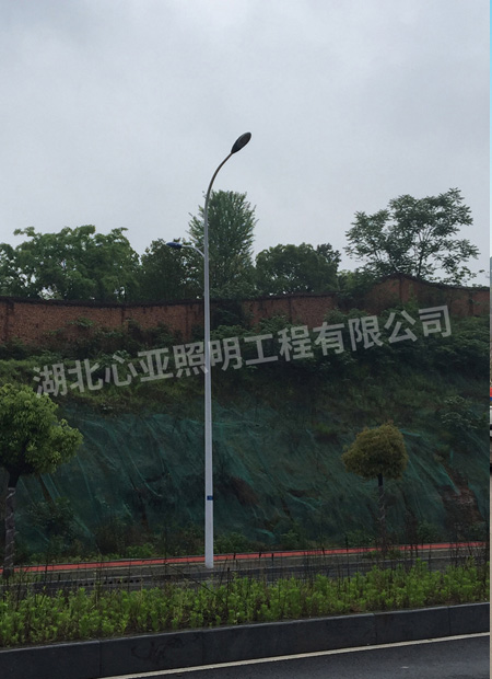 宜昌市開發(fā)區(qū)大連路照明項目