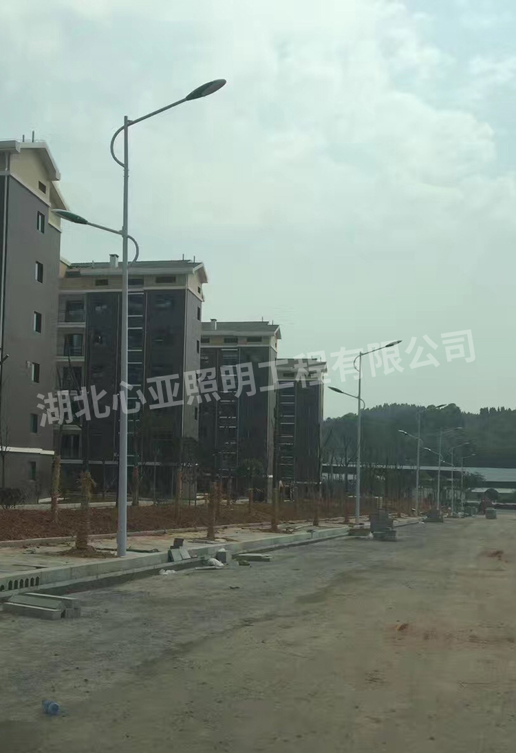 陳埫坪安置小區(qū)雙燈頭路燈安裝完成效果